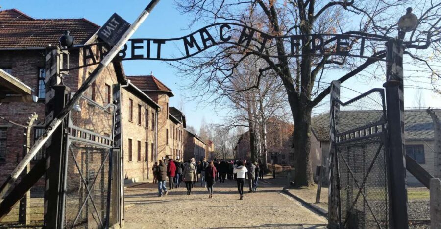 From Warsaw: Auschwitz-Birkenau Tour by Car - Who Should Book This Tour (and Who Might Want a Different Plan)