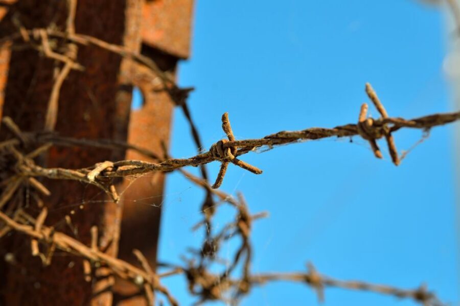 From Warsaw: Auschwitz-Birkenau Tour by Car - Auschwitz II-Birkenau: The Scale, the Gate of Death, and Why Distance Matters
