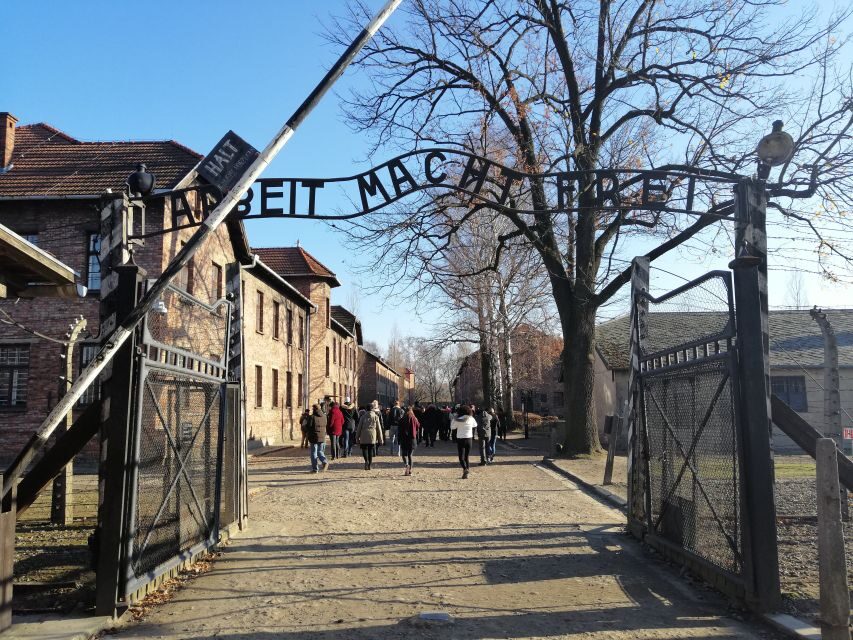From Warsaw: Auschwitz-Birkenau Tour by Car - Wheelchair Access and the Practical Reality of Museum Floors