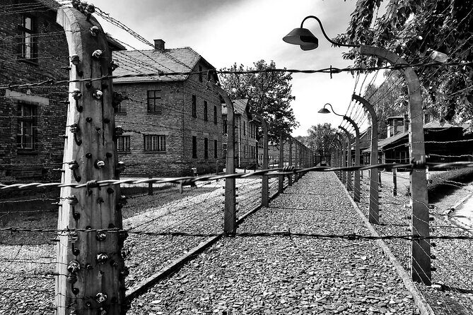 From Warsaw: Auschwitz-Birkenau Tour with Premium Train Transportation - Who should book this tour—and who might want a different plan