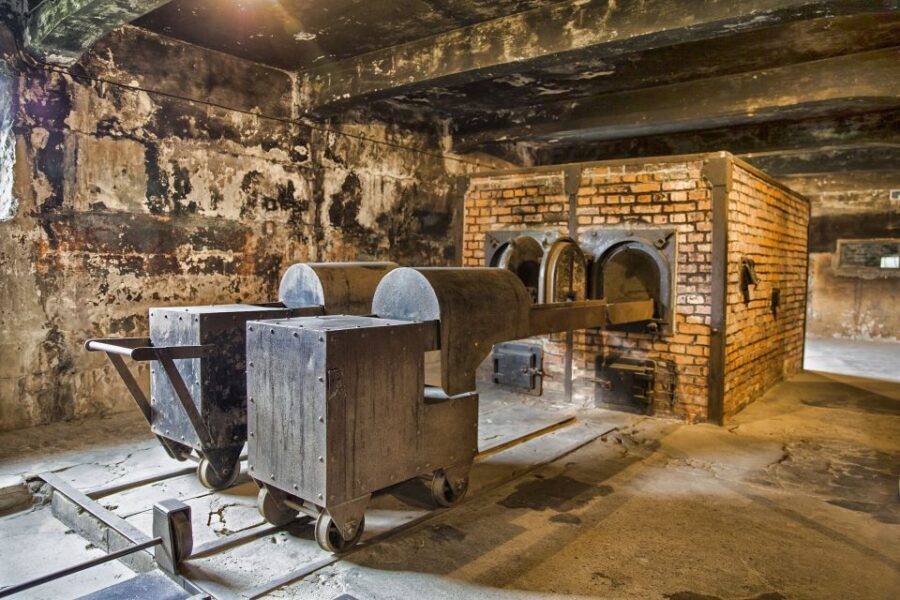 From Warsaw: Guided Tour to Auschwitz-Birkenau and Krakow - Birkenau (Auschwitz II): where the outdoor scale hits