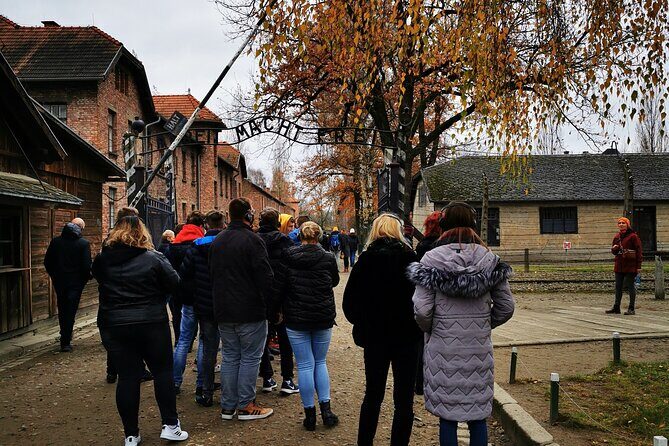 Guided Tour from Krakow to Auschwitz Birkenau with hotel pick up - Comfort and Communication: WhatsApp Updates, Drivers, and Logistics That Don’t Waste Time