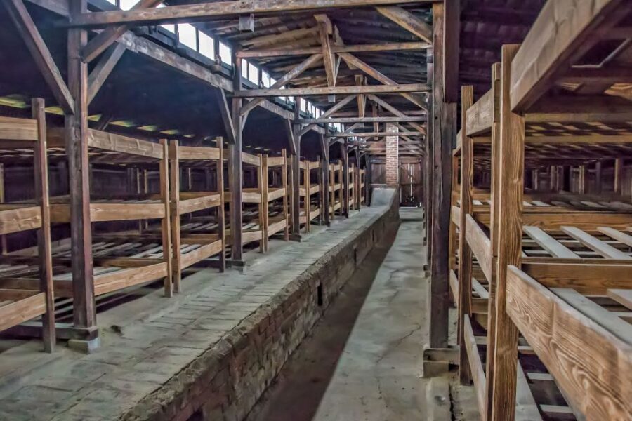 Krakow: Auschwitz and Wieliczka Salt Mine Combo Tour - Should you book this Auschwitz and Wieliczka Salt Mine combo tour?