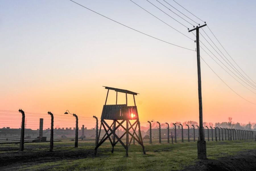 Krakow: Auschwitz-Birkenau and Salt Mine Guided Tour - Who this tour suits best (and who should rethink it)