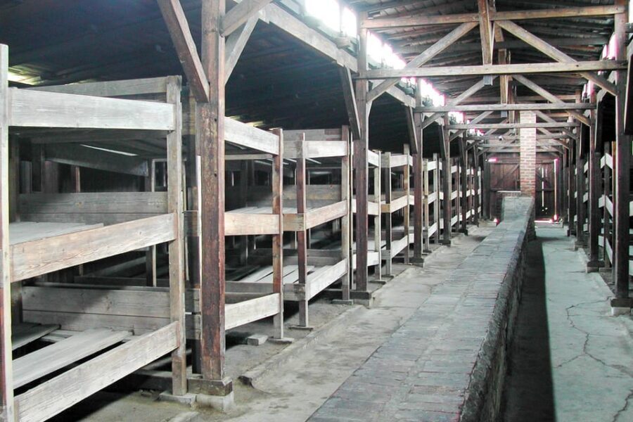 Krakow: Auschwitz-Birkenau Day Trip with Tour Leader - Key things I’d focus on before you go