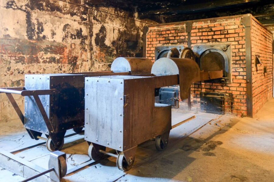 Krakow: Auschwitz-Birkenau Day Trip with Tour Leader - Timing and the reality of queues