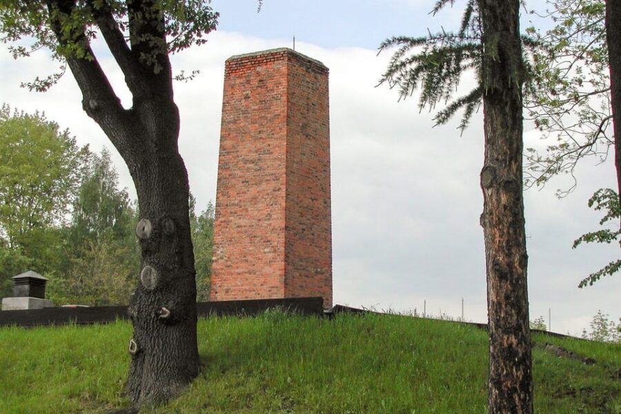 Krakow: Auschwitz-Birkenau Day Trip with Tour Leader - Comfort tips that matter for this kind of visit