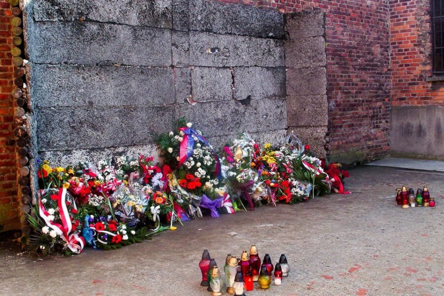 Krakow: Auschwitz-Birkenau Day Trip with Tour Leader - Who this tour suits best