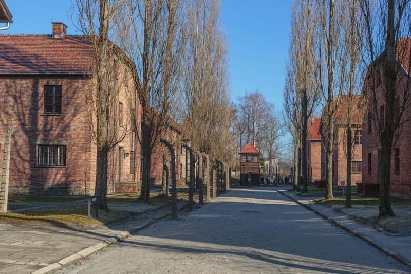 Krakow: Auschwitz-Birkenau Entry Ticket and Transfer - Key moments to know before you go