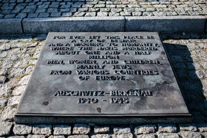 Krakow: Auschwitz-Birkenau Entry Ticket and Transfer - How the guide and headsets shape your understanding