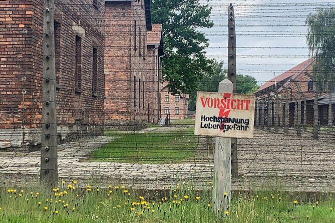 Krakow: Auschwitz-Birkenau Guided Tour & Hotel Pick Up - Food and breaks: plan for water and snacks because lunch isn’t included