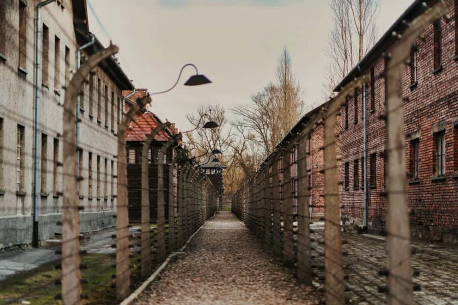 Krakow: Auschwitz-Birkenau Guided Tour with Transportation - Key Highlights You’ll Care About