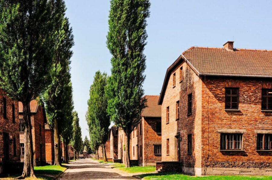 Krakow: Auschwitz-Birkenau Live Guided Tour & Hotel Pickup - Auschwitz II-Birkenau: Scale, Barracks, and the Reality of the Layout