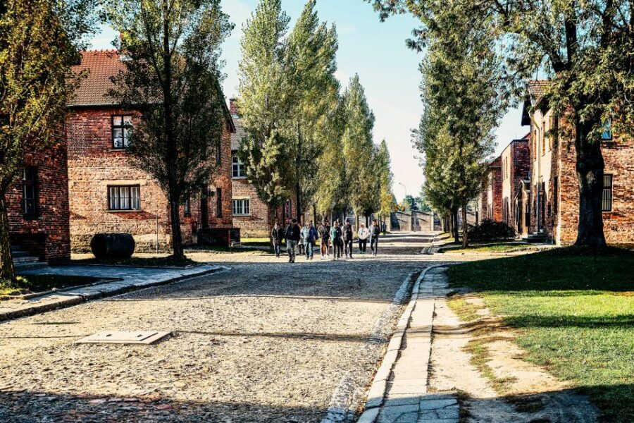 Krakow: Auschwitz-Birkenau Live Guided Tour & Hotel Pickup - Lunch, Snacks, and How to Avoid a Cranky Timing Problem