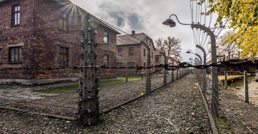 Kraków: Auschwitz-Birkenau & Salt Mine Full-Day Guided Tour - Entering Auschwitz I: the gate moment and what the guide points out