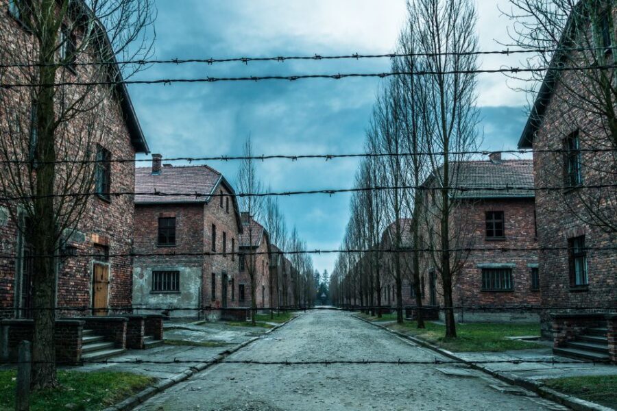 Kraków: Auschwitz-Birkenau & Salt Mine Full-Day Guided Tour - Birkenau: understanding scale in a guided hour