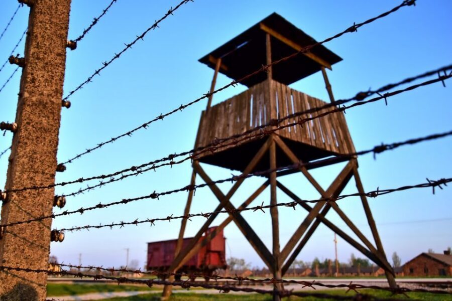 Kraków: Auschwitz-Birkenau & Salt Mine Full-Day Guided Tour - The lunch break and timing reality check