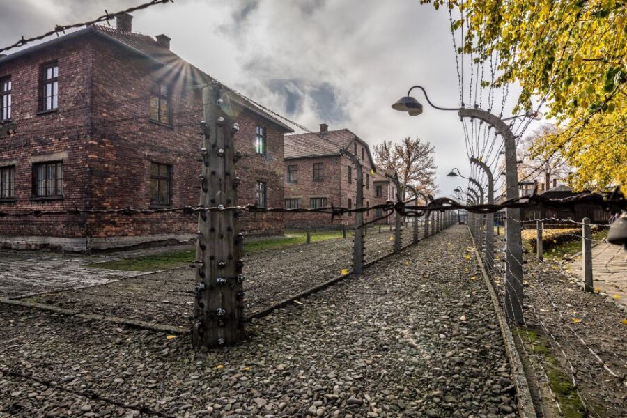 Kraków: Auschwitz-Birkenau & Salt Mine Full-Day Guided Tour - Your bus ride, headsets, and what the price really covers
