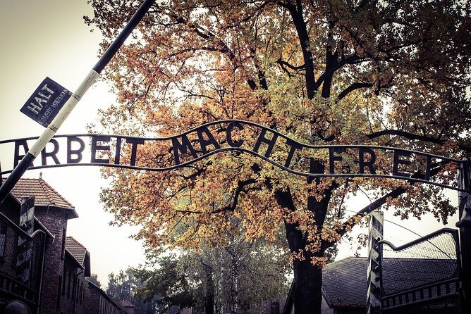 Krakow: Auschwitz-Birkenau Shared English Tour and Transfer - Timing reality check: whole-day planning is not optional