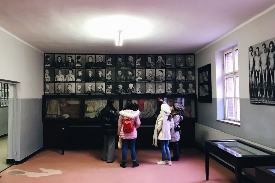 Krakow: Auschwitz-Birkenau Tour Limited to 15 Visitors - Skip-Line Entry: Getting Into Auschwitz With Less Waiting