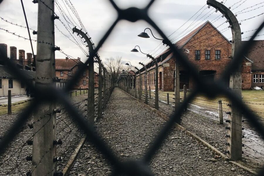 Krakow: Auschwitz-Birkenau Tour Limited to 15 Visitors - Birkenau II: Railway Lines, Watchtowers, and the Scale of Systemic Violence