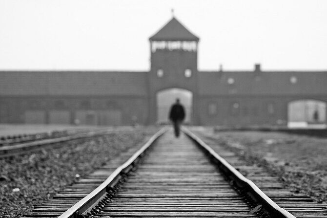 Krakow: Auschwitz-Birkenau Tour & Museum Expert Guide - A Long Day With a Purpose: What You’ll Experience from Krakow