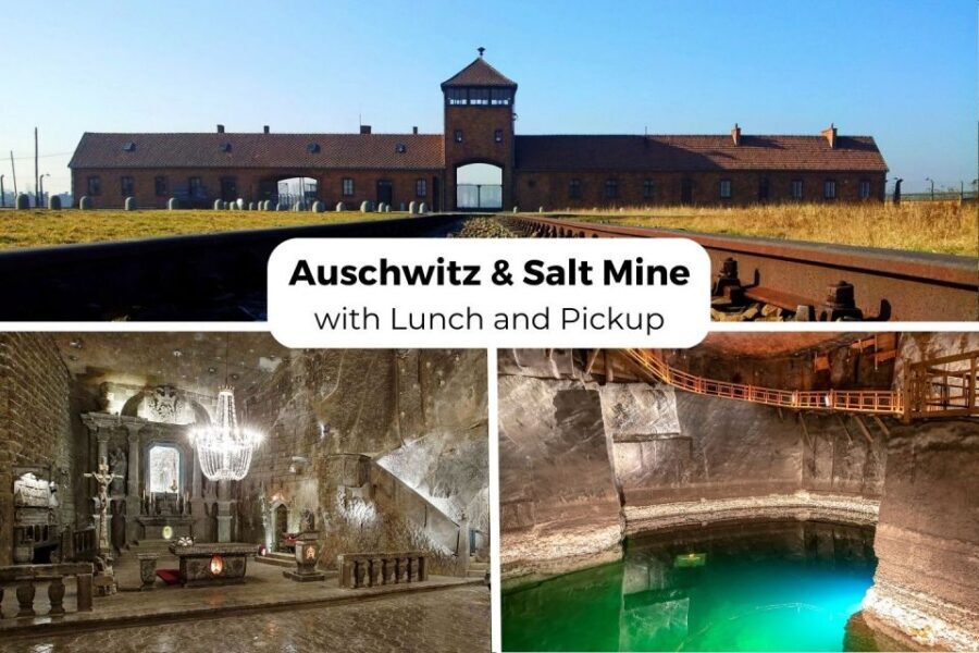 Krakow: Auschwitz-Birkenau & Wieliczka Salt Mine with Lunch - Birkenau: wooden blocks, ruins, and the scale shock