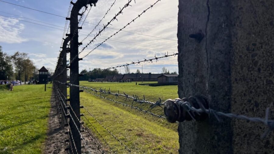 Krakow: Auschwitz-Birkenau & Wieliczka Salt Mine with Lunch - Guide quality and headsets: the difference between seeing and understanding