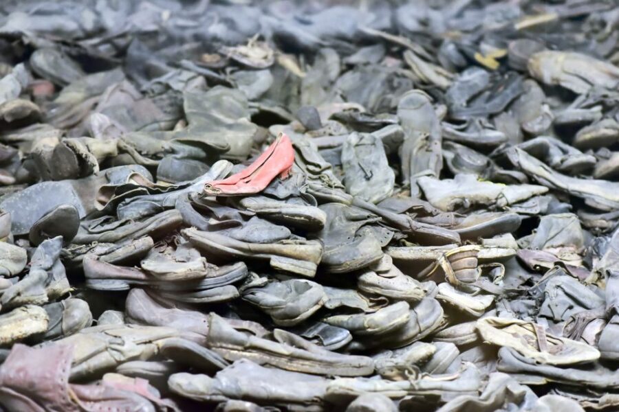 Krakow: Auschwitz Guided Tour with Pickup and Optional Lunch - Key points I’d plan around