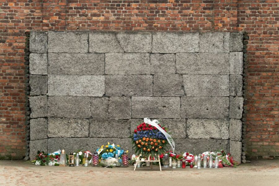 Krakow: Auschwitz Guided Tour with Pickup and Optional Lunch - Skip-the-line tickets: when it helps most