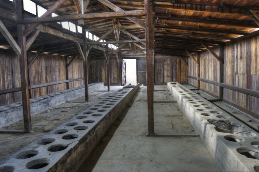 Krakow: Auschwitz Guided Tour with Pickup and Optional Lunch - Pickup and drop-off in Krakow: easier than you think
