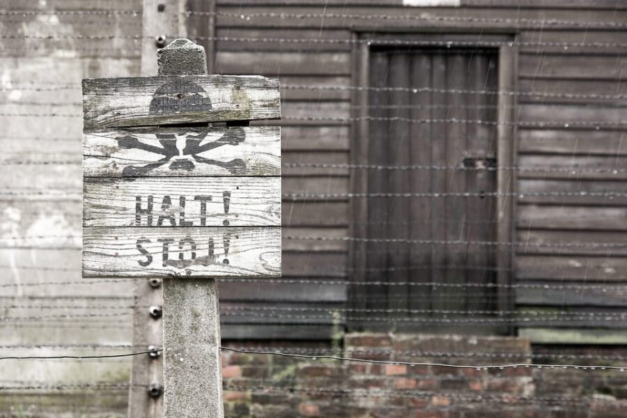 Krakow: Auschwitz & Wieliczka Salt Mine Guided Day Tour - Should you book this Auschwitz and Wieliczka combo tour?