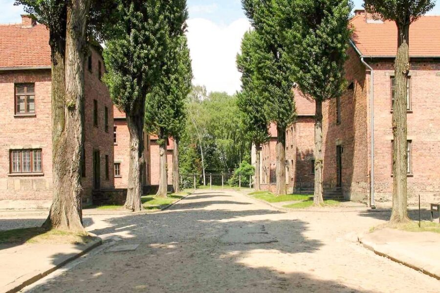 Krakow: Auschwitz & Wieliczka Salt Mine Guided Day Tour - Practical tips to make the day feel manageable