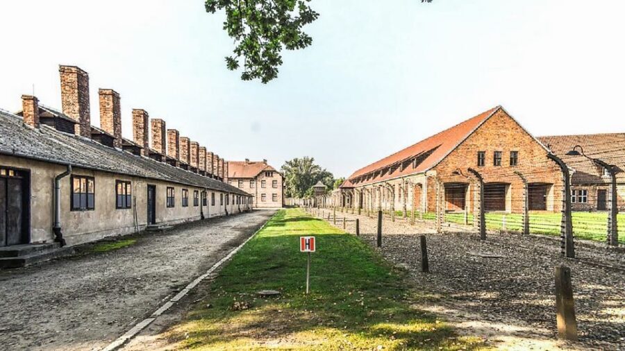 Krakow: Full-Day Auschwitz-Birkenau & Salt Mine Guided Tour - Price and logistics: is $118 a good deal for this day?