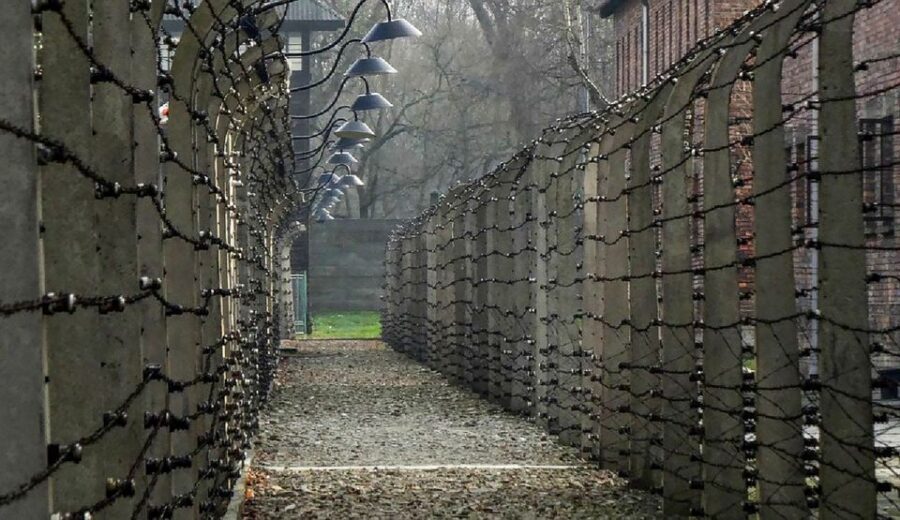 Krakow: Full-Day Auschwitz-Birkenau & Salt Mine Guided Tour - Who should book this Auschwitz and Wieliczka combo?