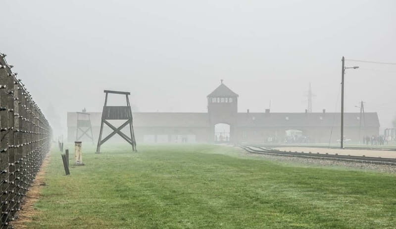 Krakow: Last Minute Auschwitz-Birkenau Guided Tour - Birkenau (Auschwitz II): scale, extermination, and hard visual evidence