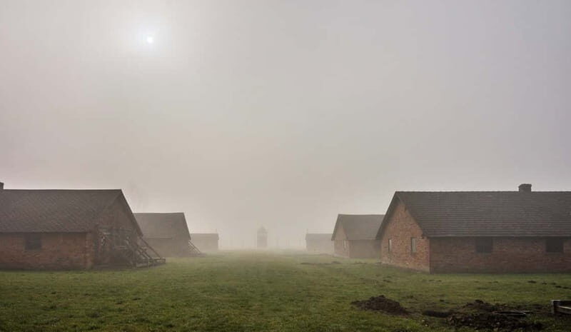 Krakow: Last Minute Auschwitz-Birkenau Guided Tour - The “real day” logistics: transport flow and time management