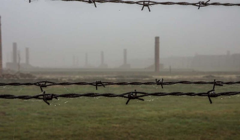 Krakow: Last Minute Auschwitz-Birkenau Guided Tour - Language options and how the guide experience can vary