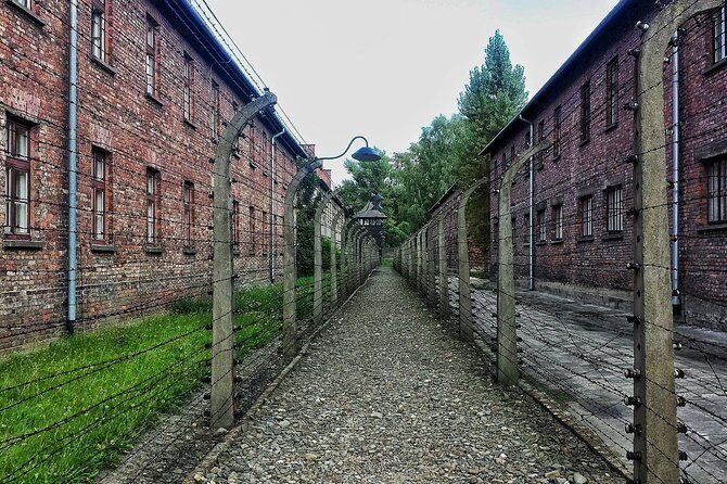 Krakow to Auschwitz-Birkenau: Private Round-Trip Experience - Tickets: the free pass you still must reserve (and why it matters)