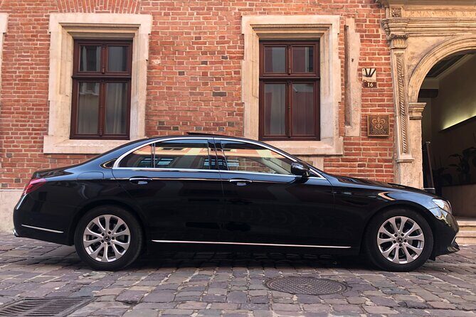 One day tour to Auschwitz-Birkenau & Salt Mine from Krakow with private driver - Price and logistics: when this $295 per person feels worth it