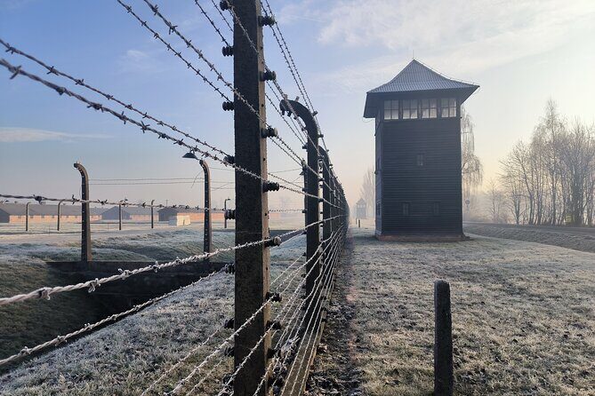 Private Guided Tour to Auschwitz & Birkenau from Krakow - Timing and walking: how to make the day comfortable enough to think