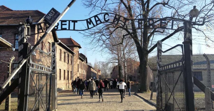 Warsaw: Tour to Krakow and Auschwitz by Train with Pickup - Who this tour suits (and who should rethink it)